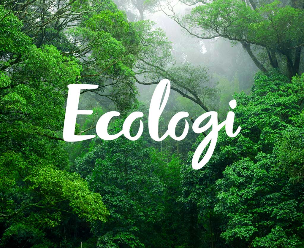 our-commitment-ecologi